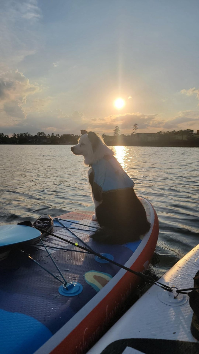 Cheezburger Image 10613796608