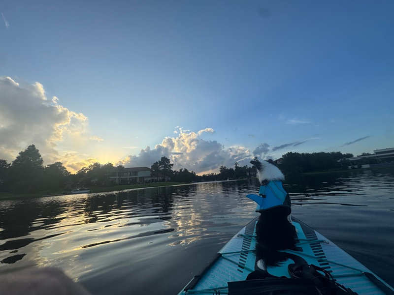 Cheezburger Image 10613797120