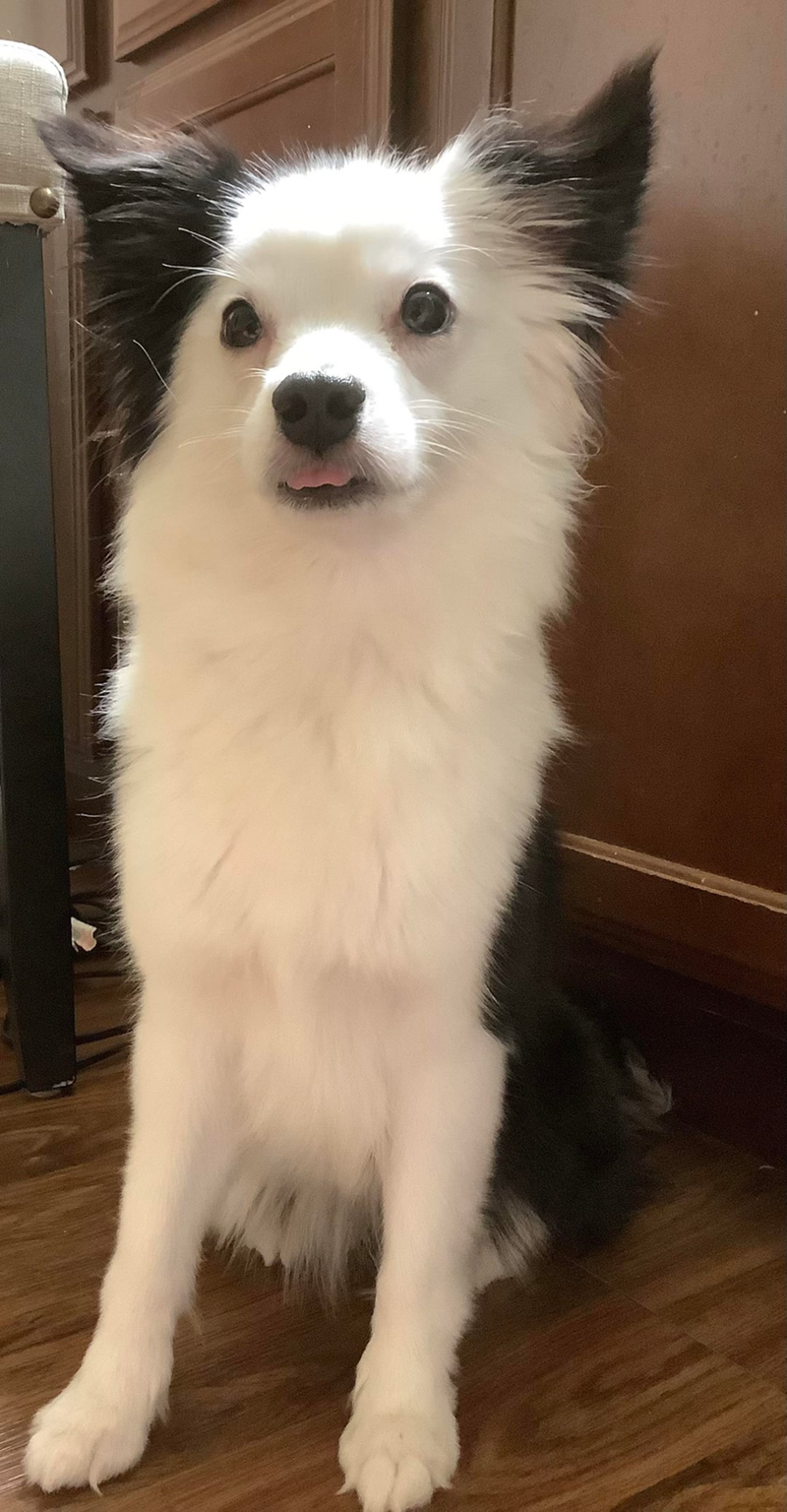 Cheezburger Image 10613798400