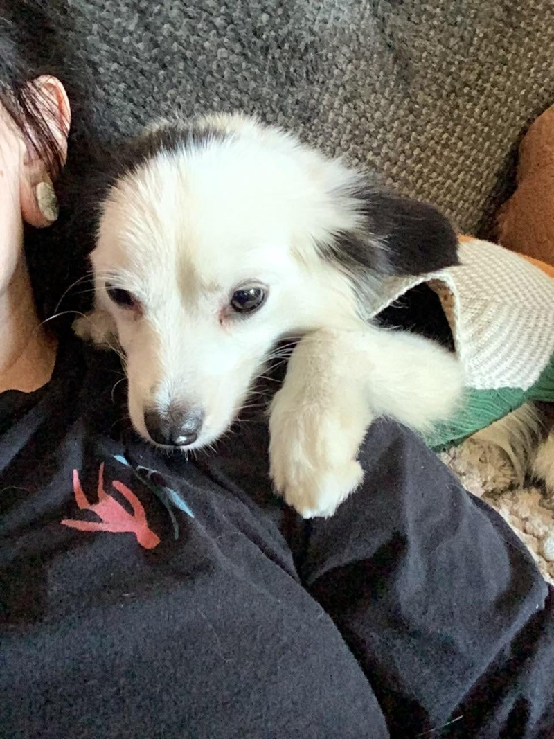 Cheezburger Image 10613798912