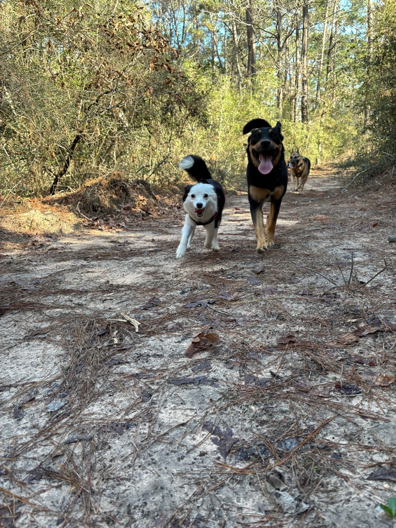 Cheezburger Image 10613799168