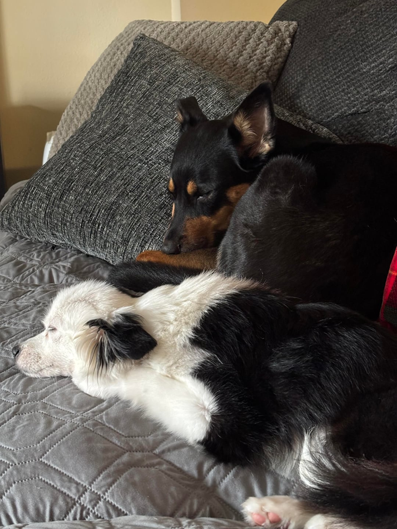 Cheezburger Image 10613799424