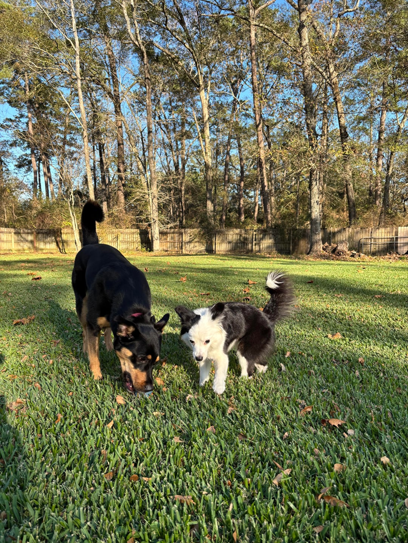 Cheezburger Image 10613799936