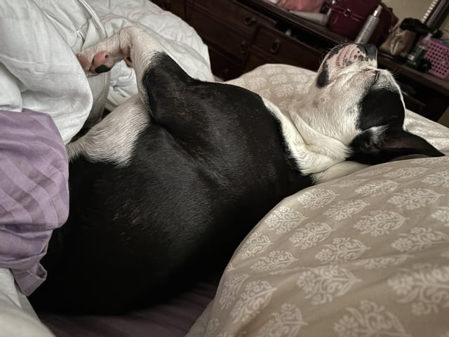 Cheezburger Image 10613800192