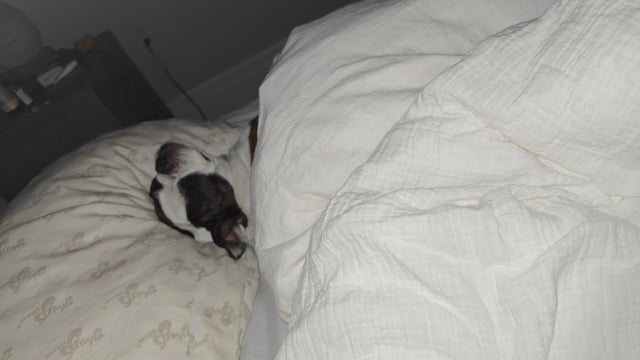 Cheezburger Image 10613800448