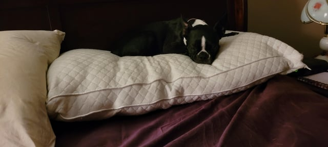 Cheezburger Image 10613800960