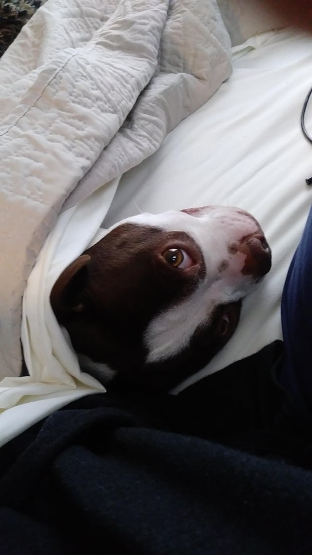 Cheezburger Image 10613801216