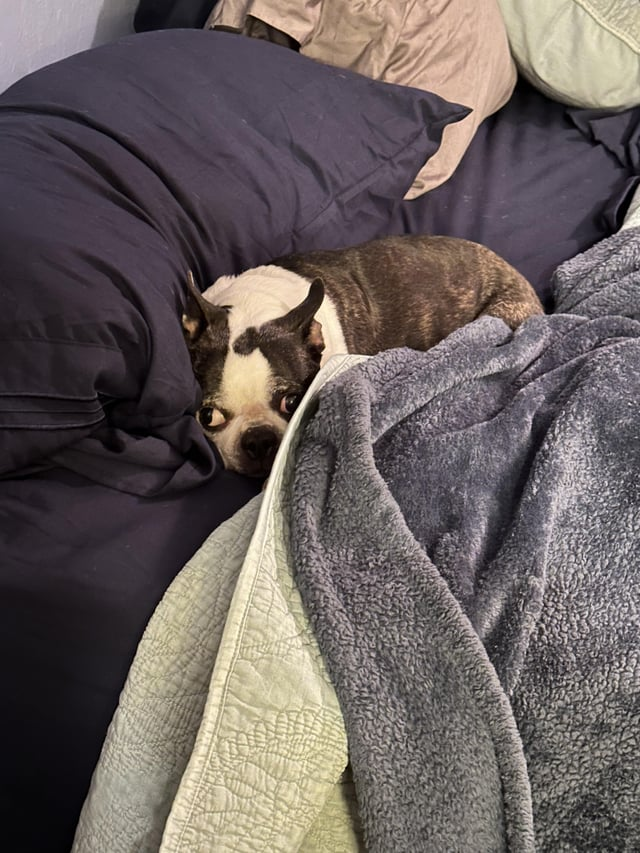 Cheezburger Image 10613801472