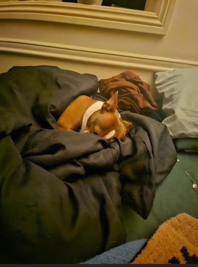 Cheezburger Image 10613801728