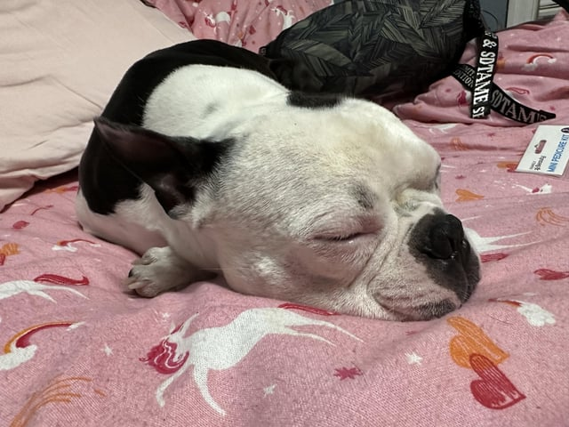 &SDTAME SE MINI PEDICURE KIT