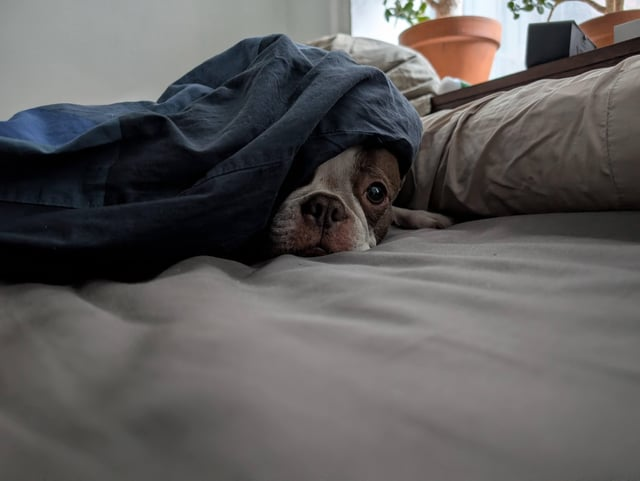 Cheezburger Image 10613802752