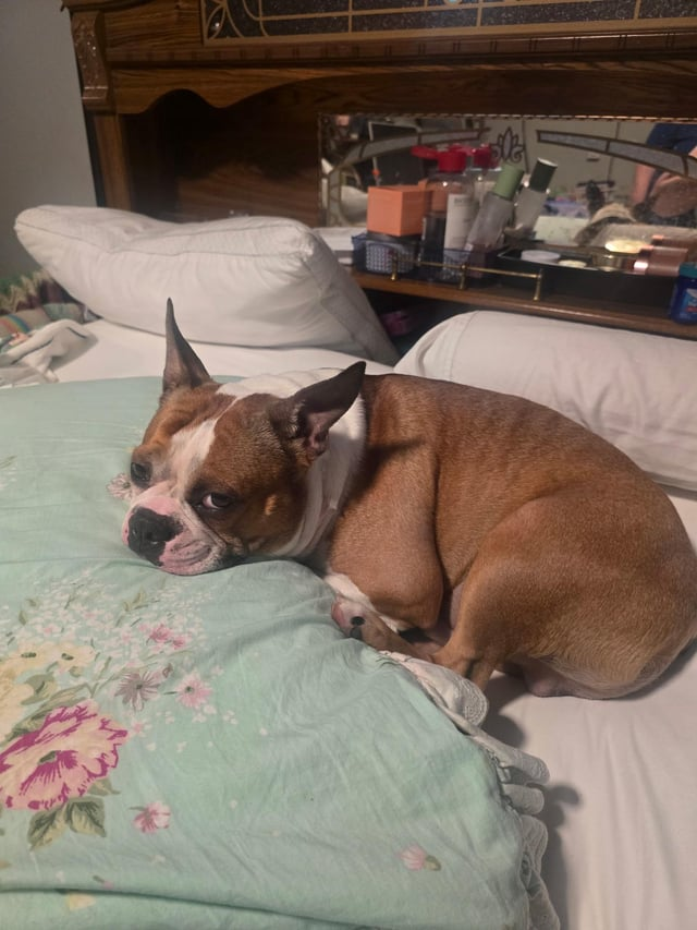 Cheezburger Image 10613803008