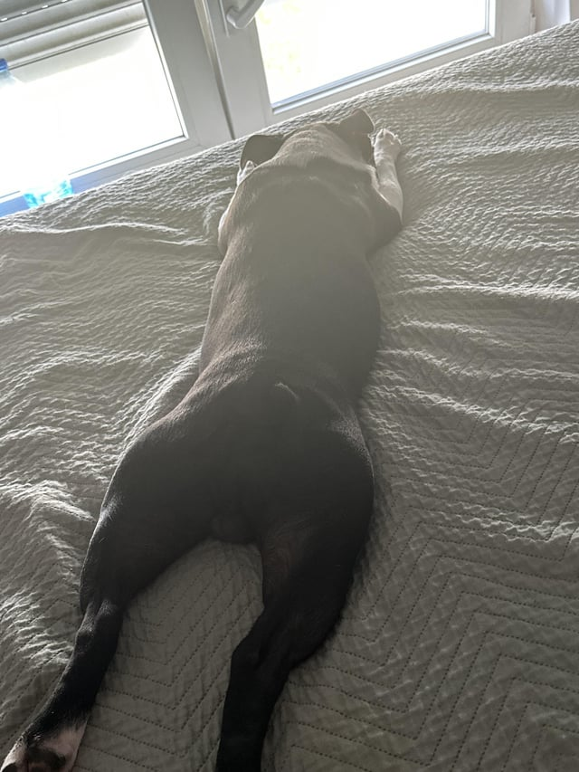 Cheezburger Image 10613803520