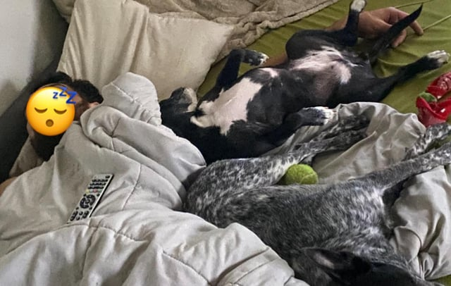 Cheezburger Image 10613803776