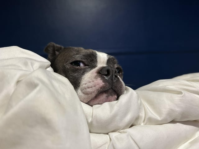 Cheezburger Image 10613805568