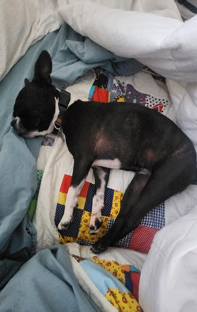 Cheezburger Image 10613805824