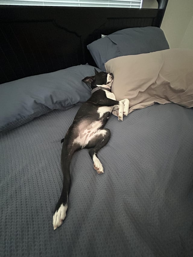 Cheezburger Image 10613806080