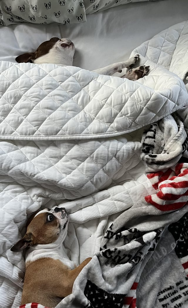 Created: Noh Modified: Non By: URBAN SE