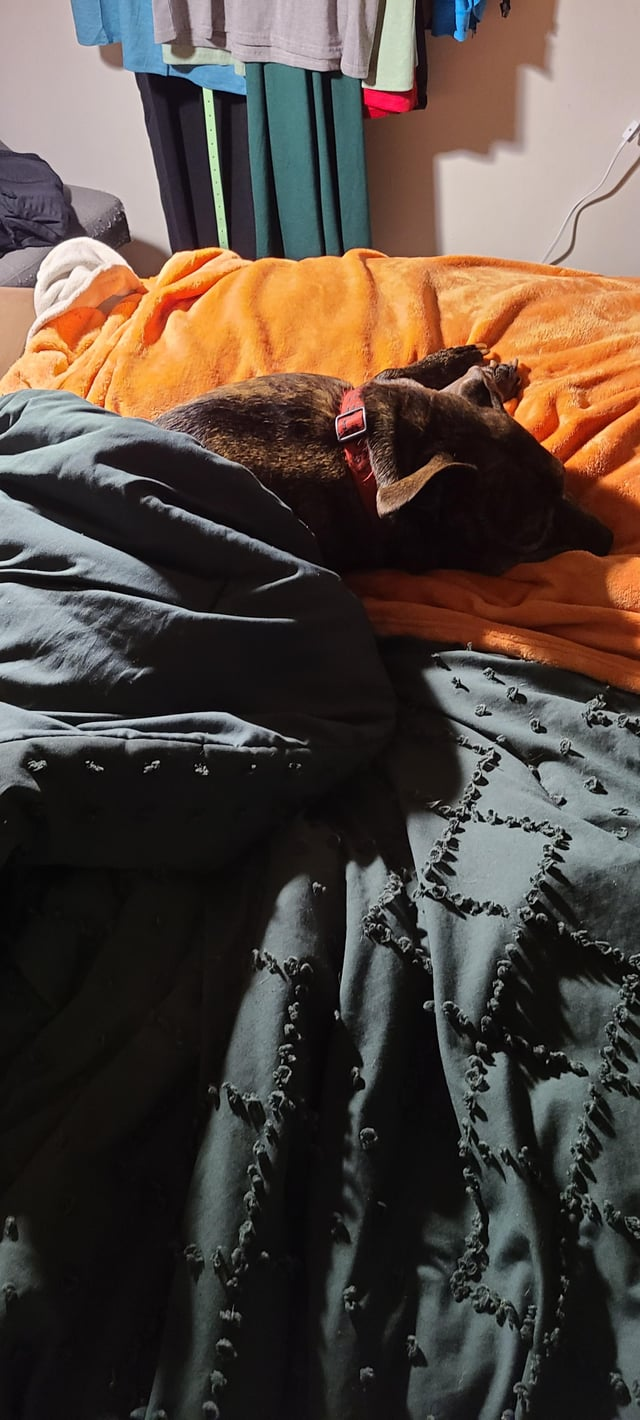 Cheezburger Image 10613806592