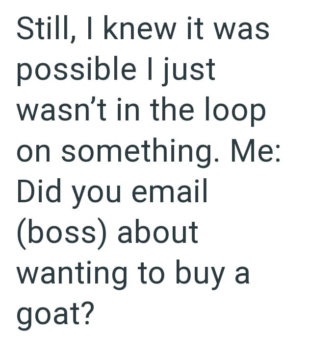 Still, I knew it was possible I just wasn't in the loop on something. Me: Did you email (boss) about wanting to buy a goat?