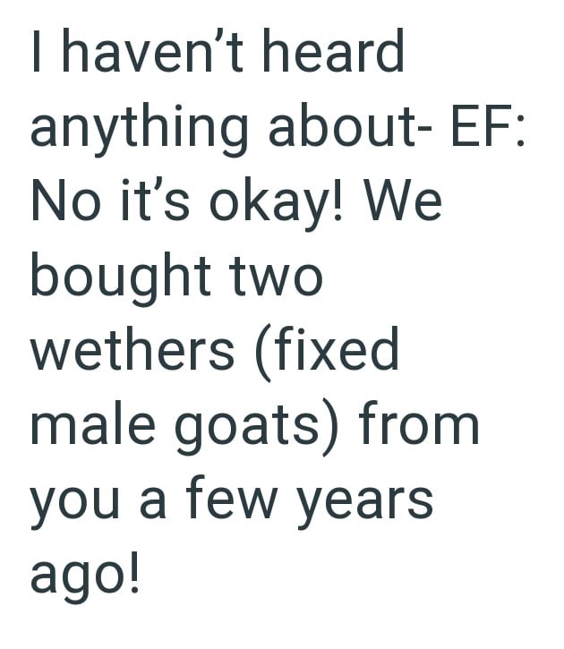I haven't heard anything about- EF: No it's okay! We bought two wethers (fixed male goats) from you a few years ago!
