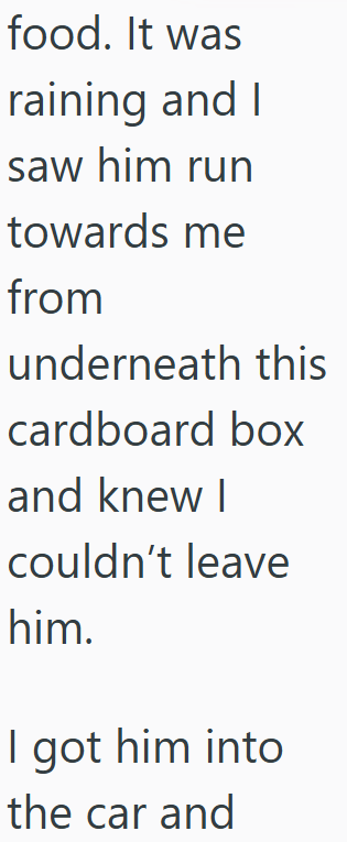 food. It was raining and I saw him run towards me from underneath this cardboard box and knew I couldn't leave him. I got him into the car and