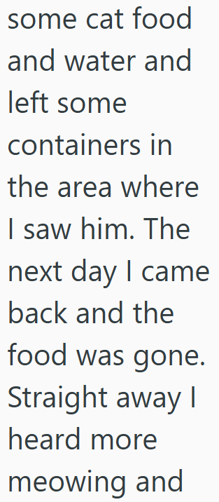 some cat food and water and left some containers in the area where I saw him. The next day I came back and the food was gone. Straight away I heard more meowing and