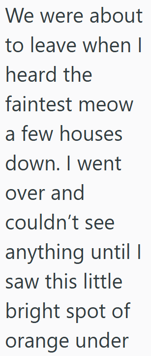 We were about to leave when I heard the faintest meow a few houses down. I went over and couldn't see anything until I saw this little bright spot of orange under