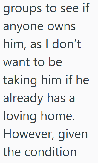 groups to see if anyone owns him, as I don't want to be taking him if he already has a loving home. However, given the condition