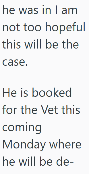 he was in I am not too hopeful this will be the case. He is booked for the Vet this coming Monday where he will be de-