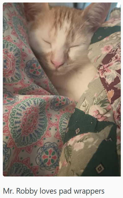 Mr. Robby loves pad wrappers