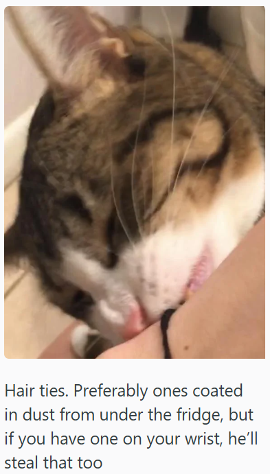 Hair ties. Preferably ones coated in dust from under the fridge, but if you have one on your wrist, he'll steal that too