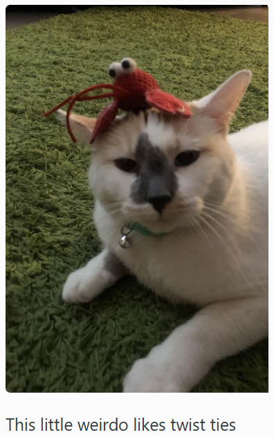 This little weirdo likes twist ties