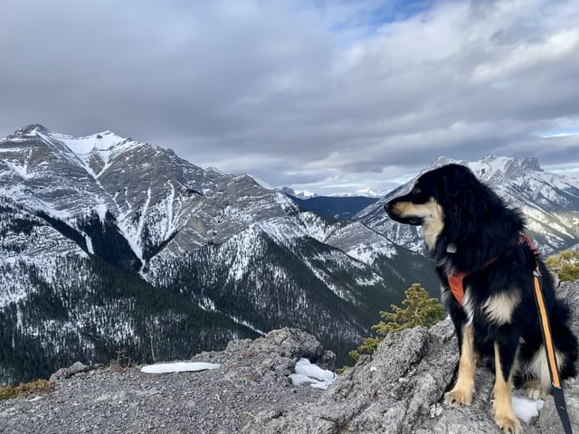 Cheezburger Image 10613831424