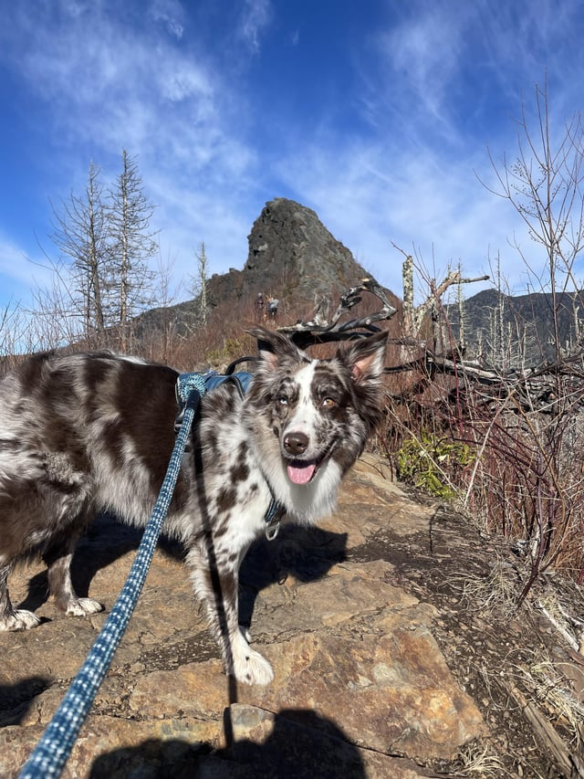 Cheezburger Image 10613831680