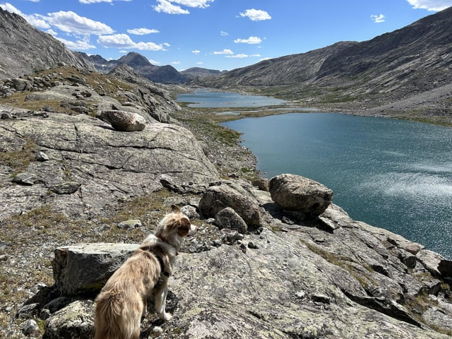 Cheezburger Image 10613831936