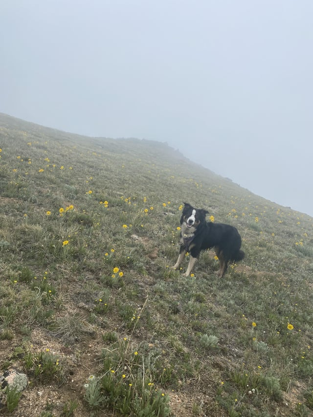 Cheezburger Image 10613832192