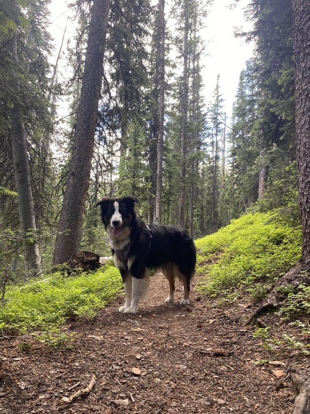 Cheezburger Image 10613832448