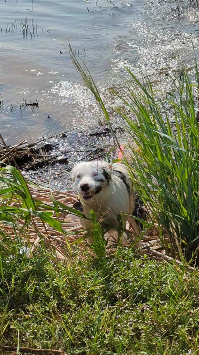 Cheezburger Image 10613832704