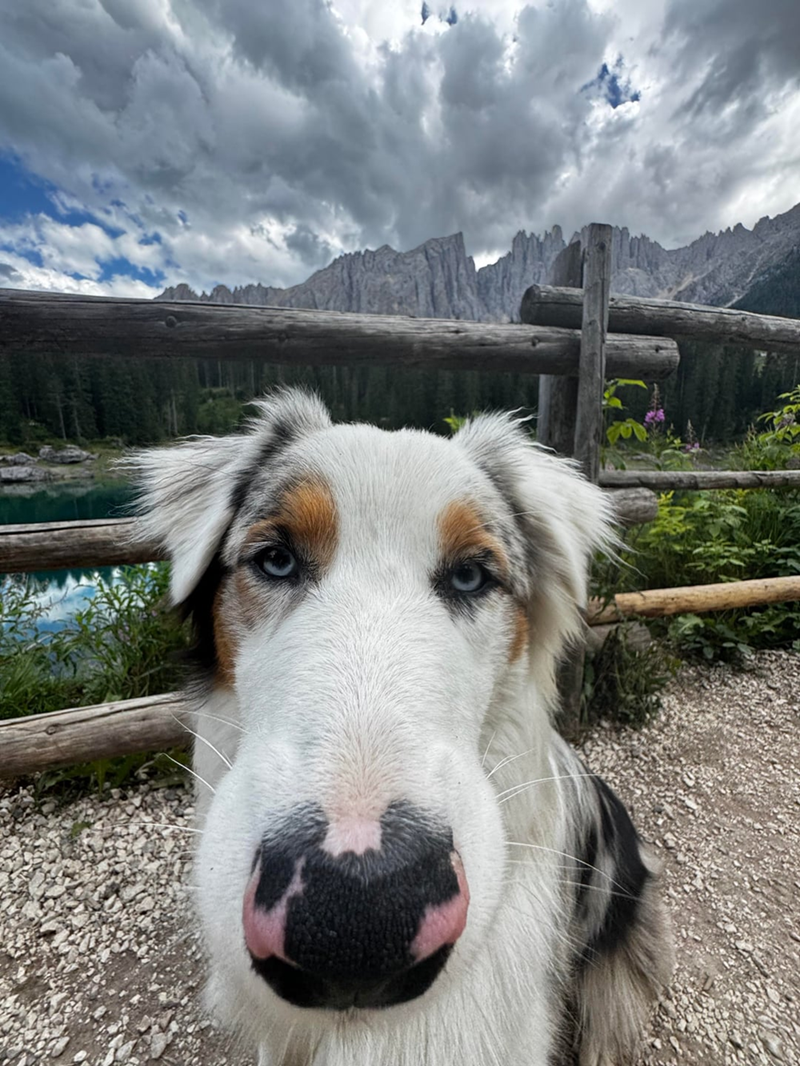 Cheezburger Image 10613833216