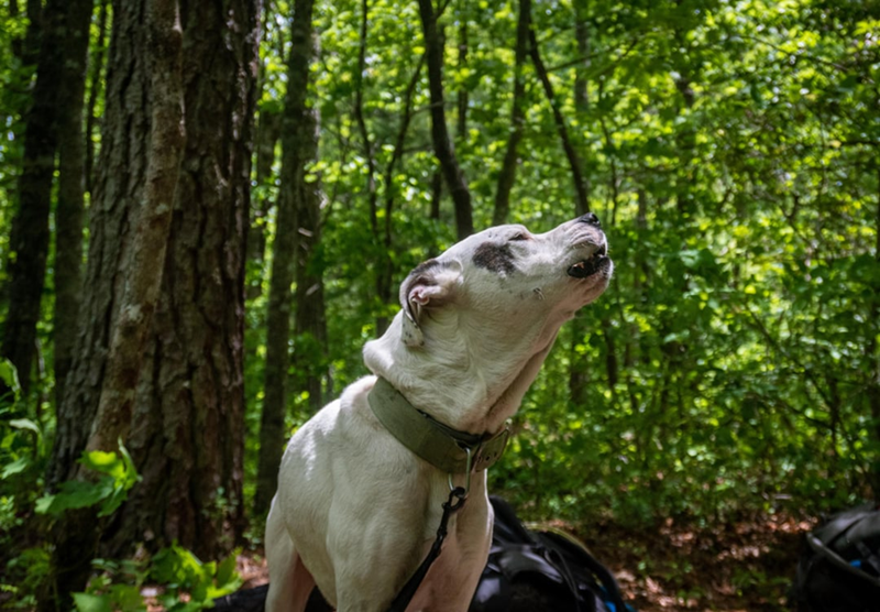 Cheezburger Image 10613833728