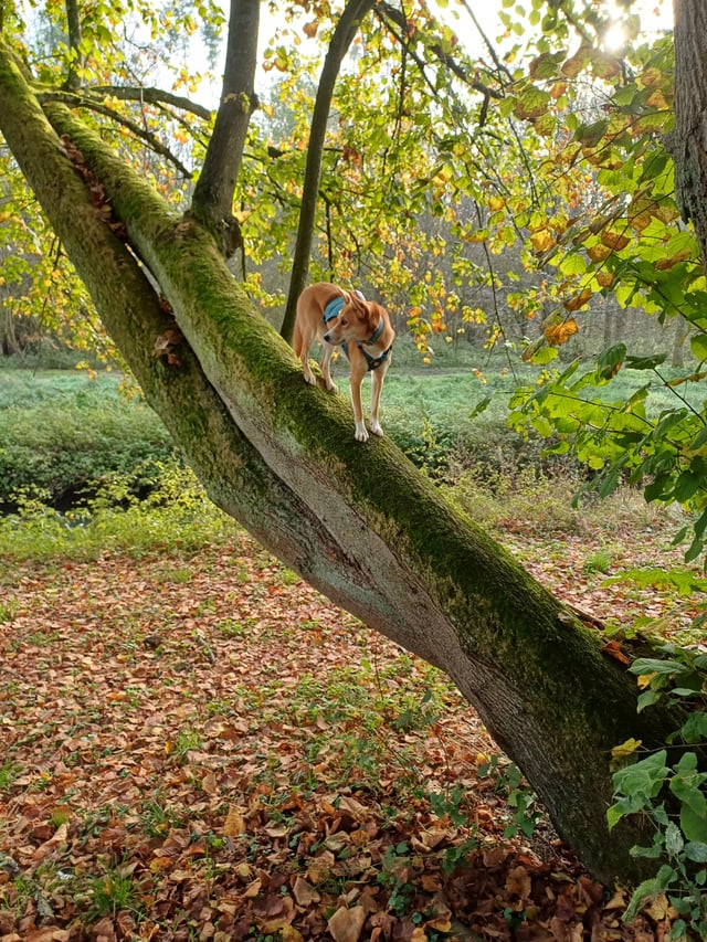 Cheezburger Image 10613833984