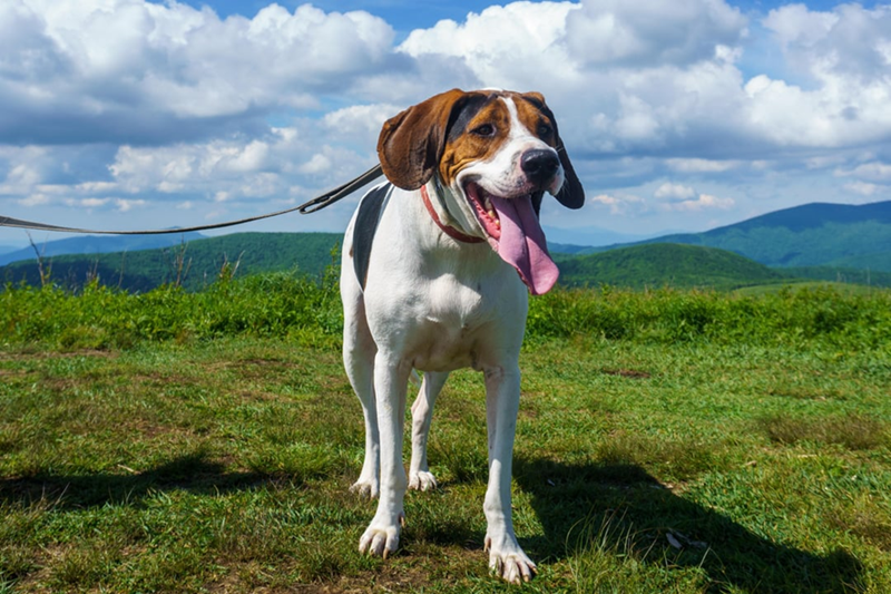 Cheezburger Image 10613834240