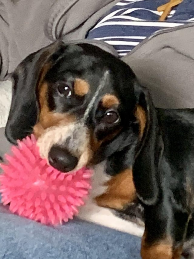 Cheezburger Image 10613835520