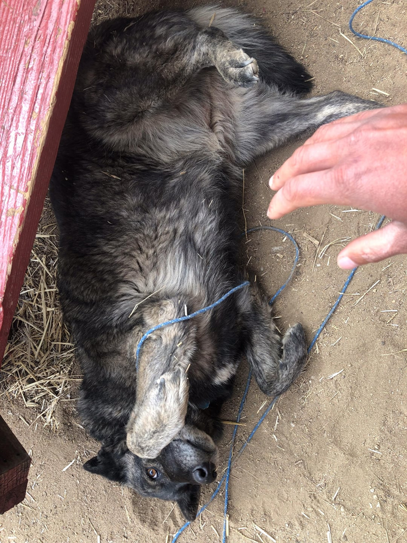 Cheezburger Image 10613836288