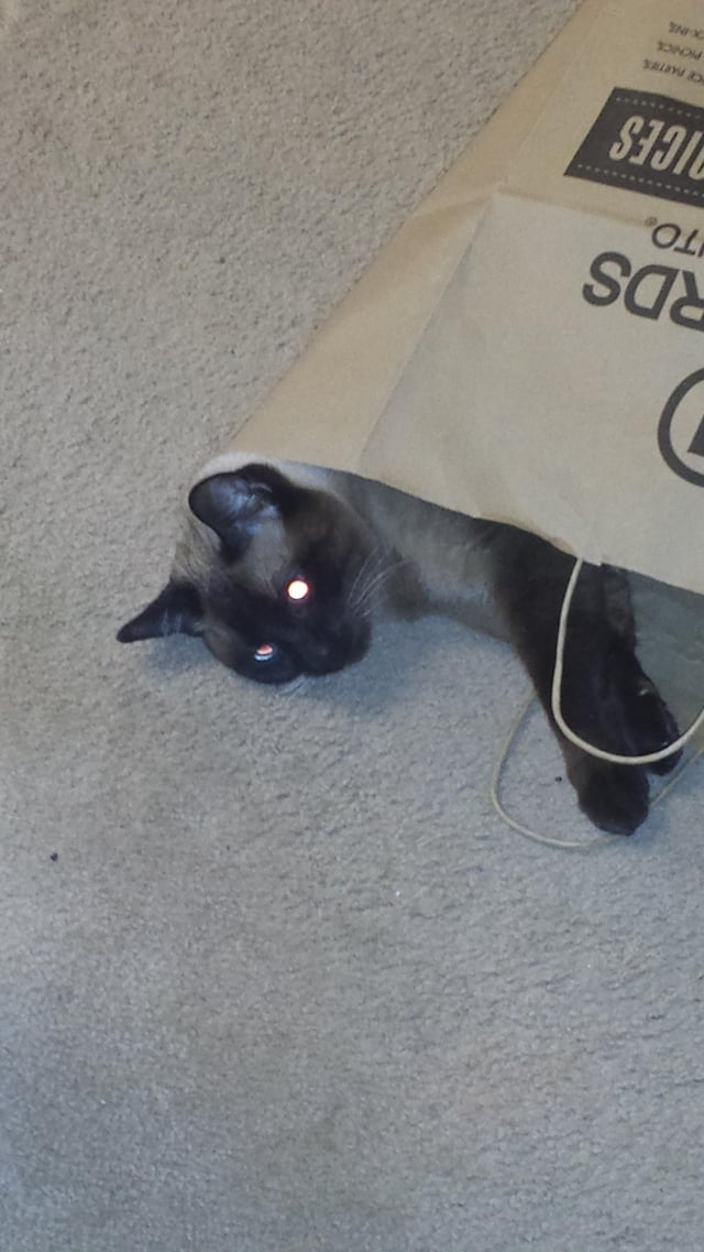 RDS TO PRICES PICNICS SNX