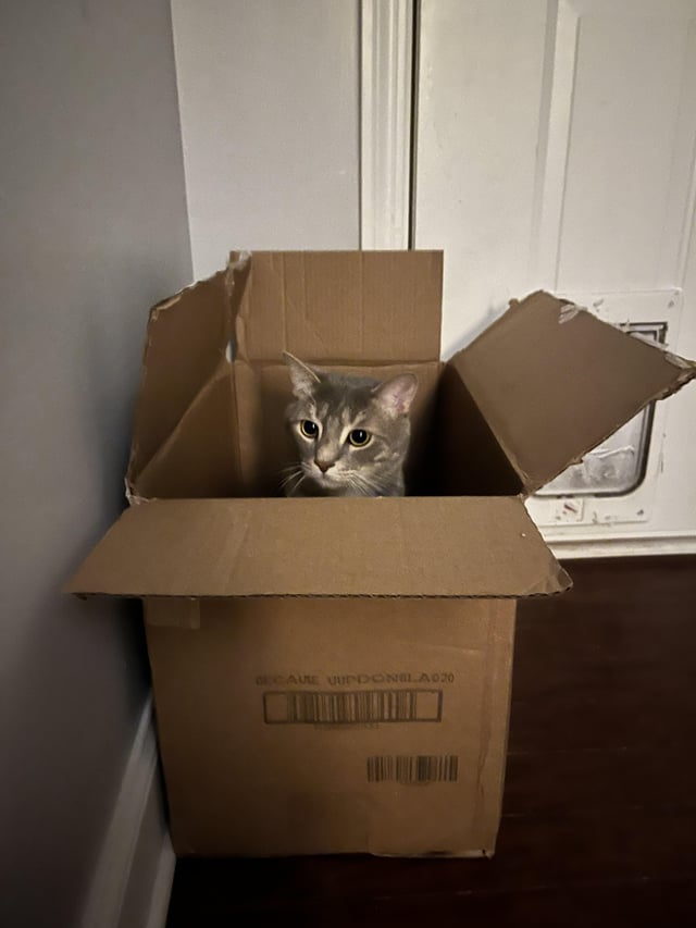 GECAUSE UUPDONBLA020