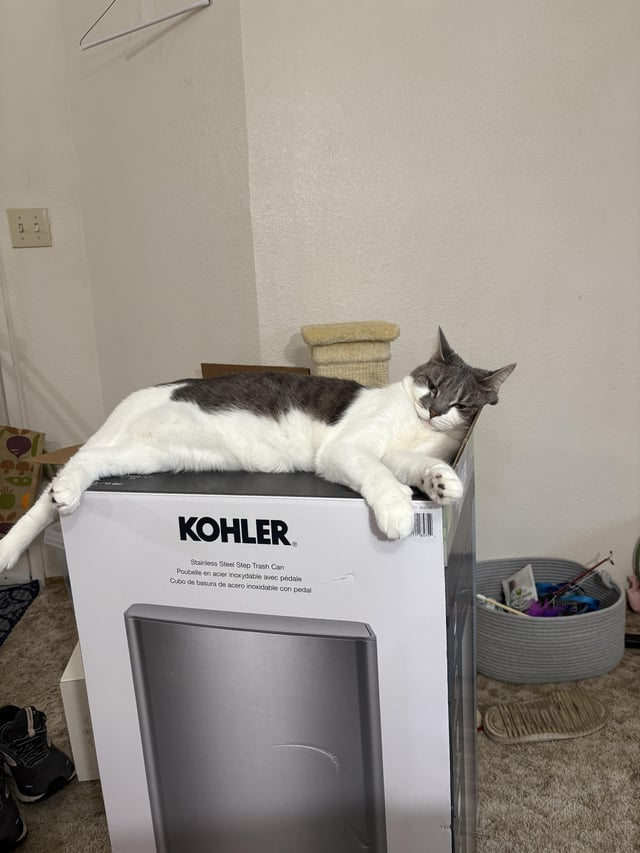 KOHLER Stainless Steel Step Trash Can Poubelle en acier inoxydable avec pédale Cubo de basura de acero inoxidable con pedal