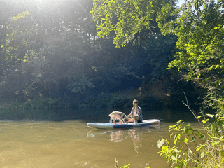 Cheezburger Image 10613842176