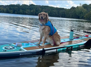 Cheezburger Image 10613842432